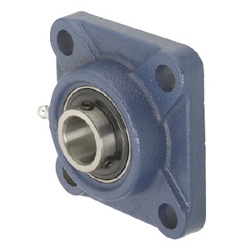 Flanged/Cast Iron/Economy