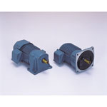 SG-P1 Three-phase Parallel Shaft Gear Motor