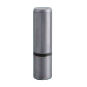 Guide Posts -NAAMS Standard-